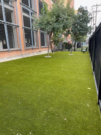 A green courtyard with trees in front of a building